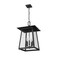 Z-Lite Rainer 5 Light Outdoor Chain Mount Ceiling Fixture, 15.5in. W x 24in. H, Black 5015CHXL-BK - alternate 4